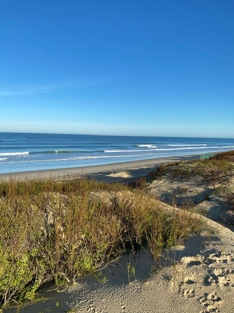Mimizan plage